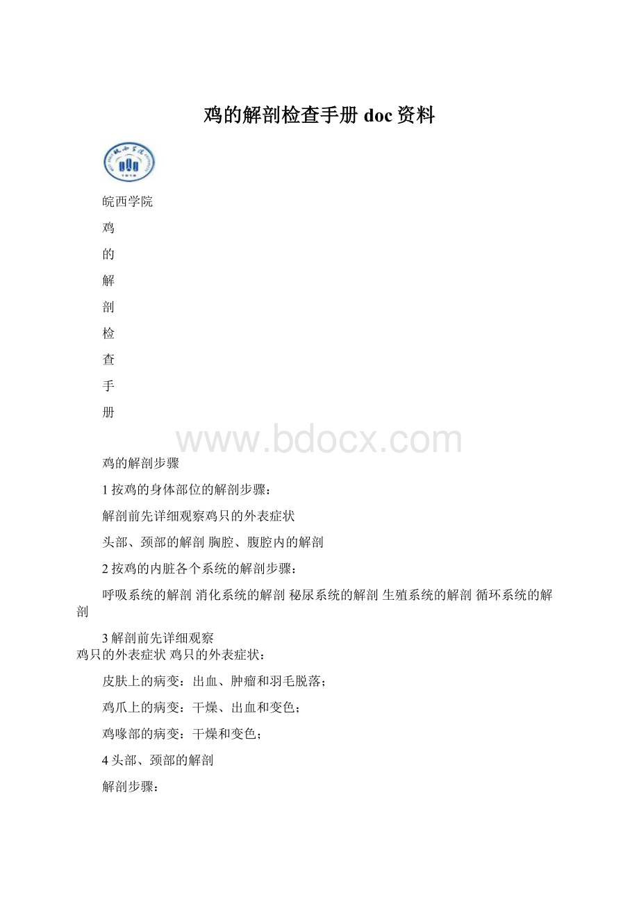 鸡的解剖检查手册doc资料文档格式.docx