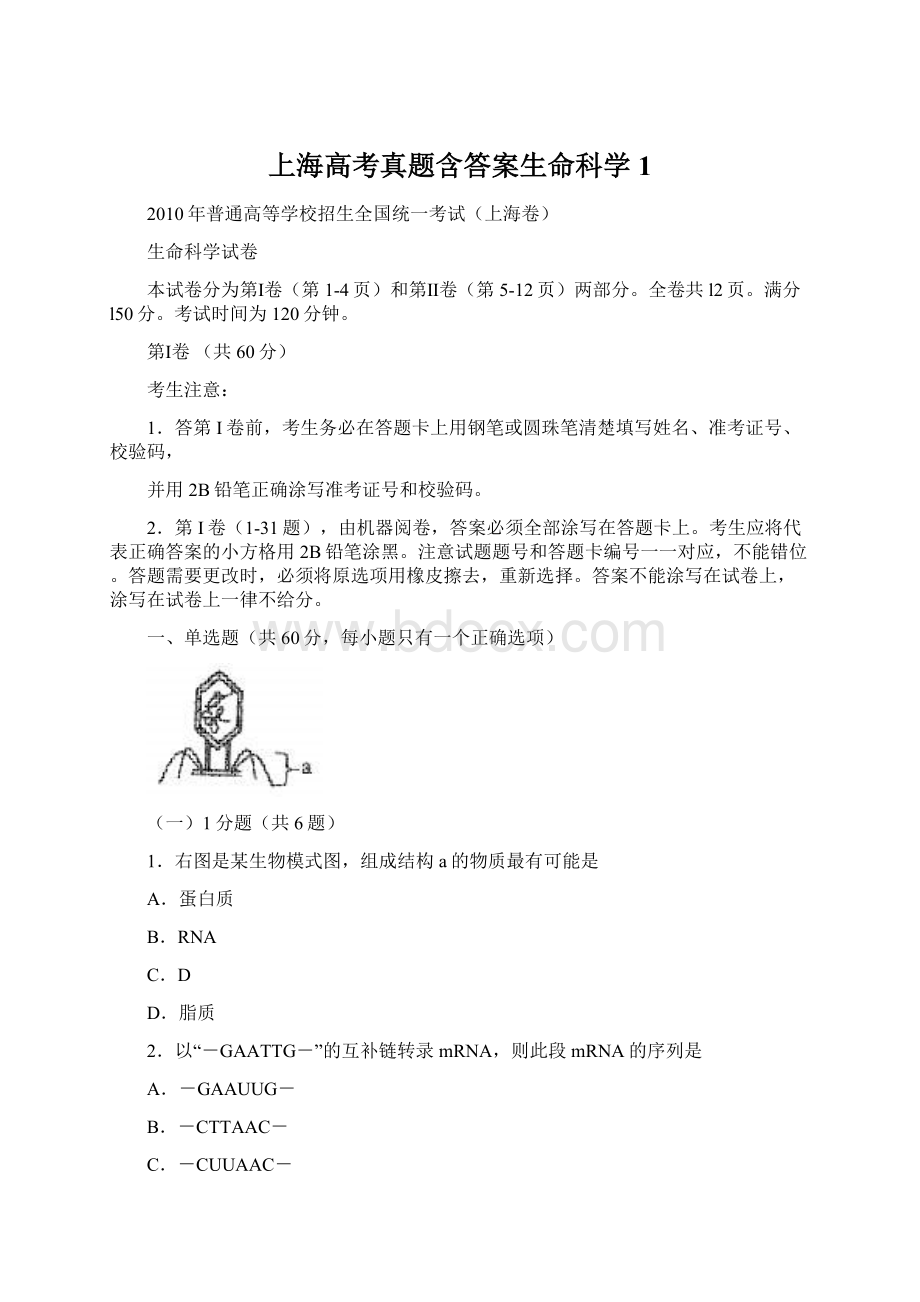 上海高考真题含答案生命科学1Word文档下载推荐.docx_第1页