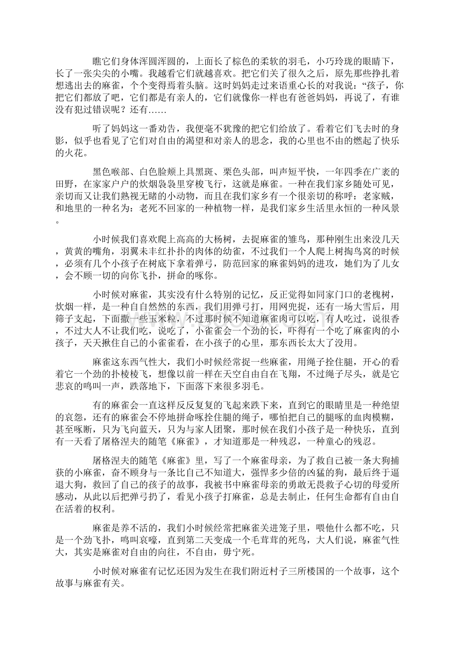 麻雀的故事作文范文文档格式.docx_第2页