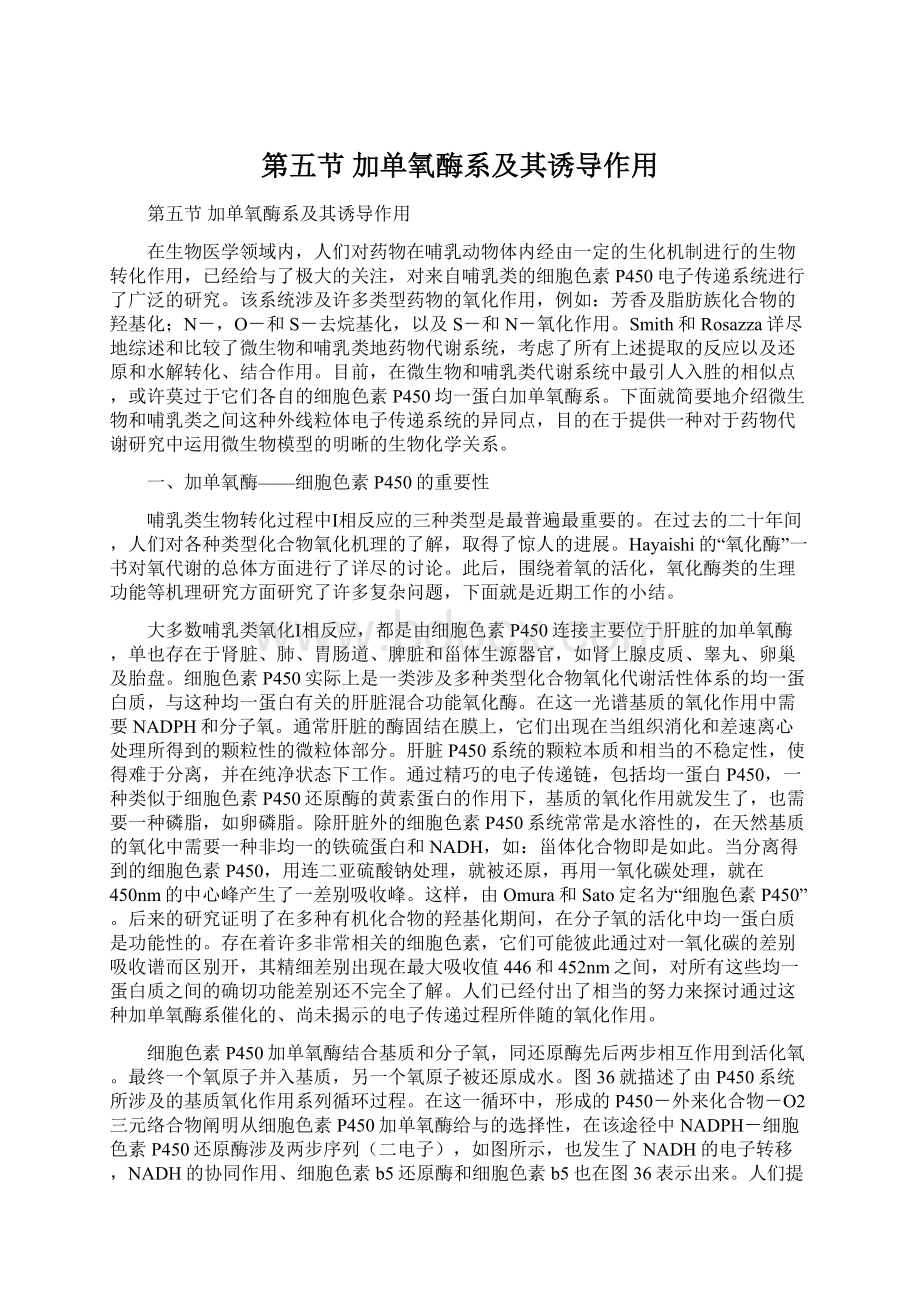 第五节 加单氧酶系及其诱导作用Word格式文档下载.docx