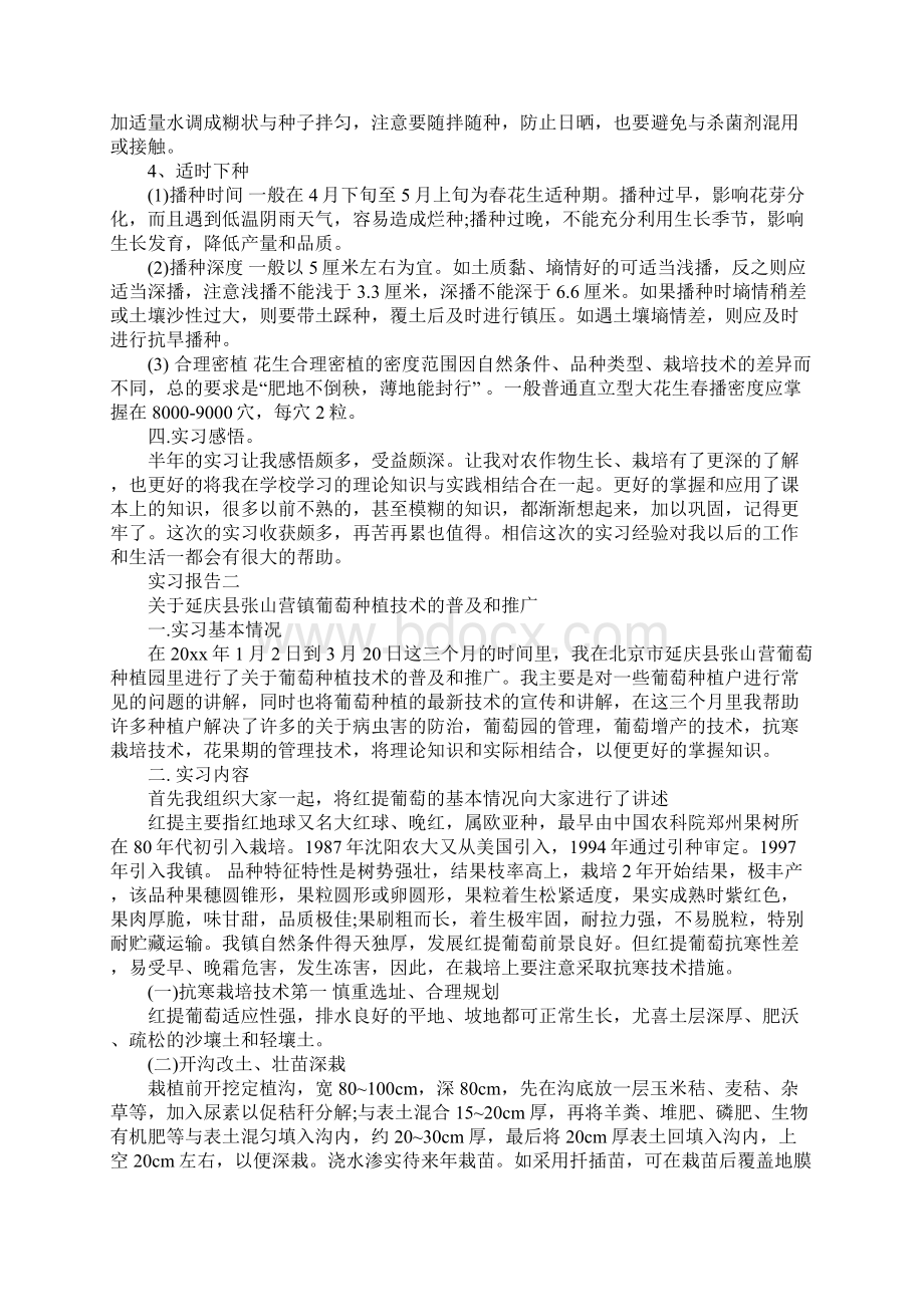 水果种植生产实习工作报告三篇文档格式.docx_第3页