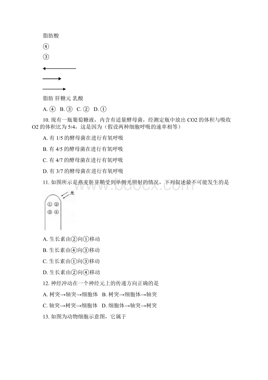 541高一上学期期末考试生物试题Word文档格式.docx_第3页