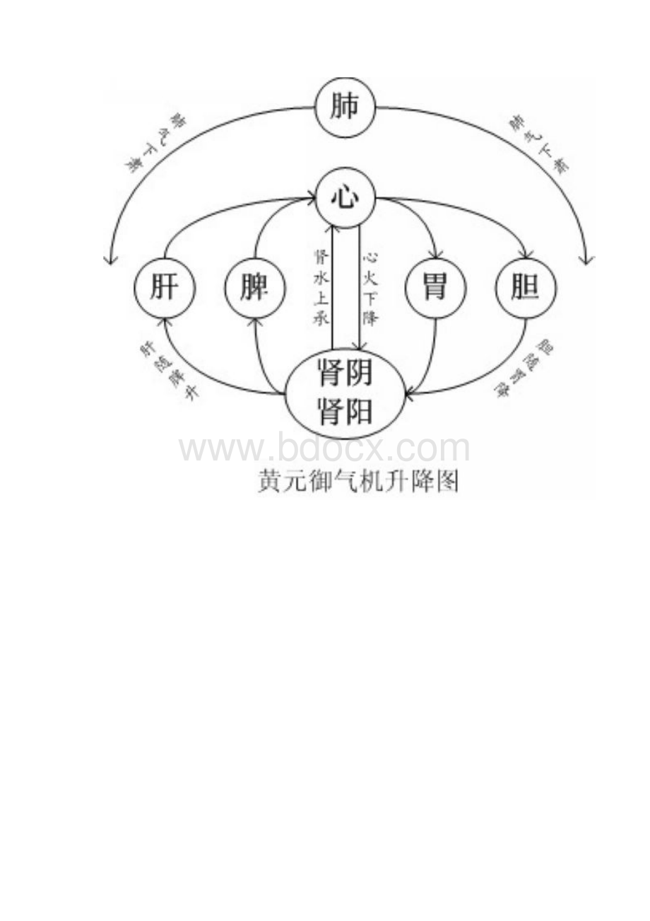 身体五脏六腑功能.docx_第2页