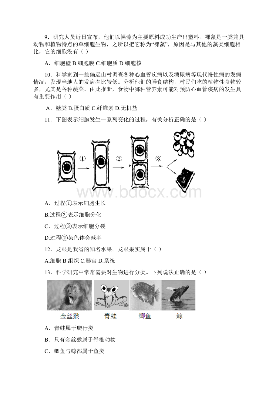 九年级科学上册阶段性学业水平检测题1.docx_第3页