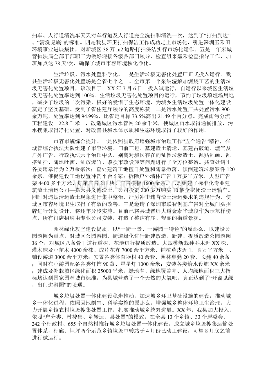 纪念行政执法局成立一周年征文Word格式.docx_第2页