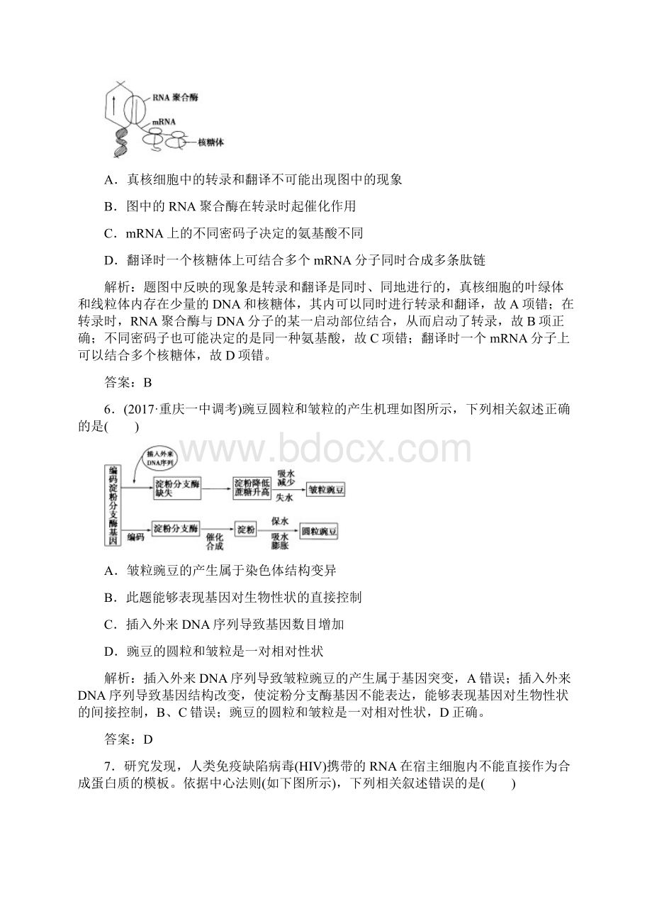 高考生物大一轮复习限时训练第六单元 遗传.docx_第3页