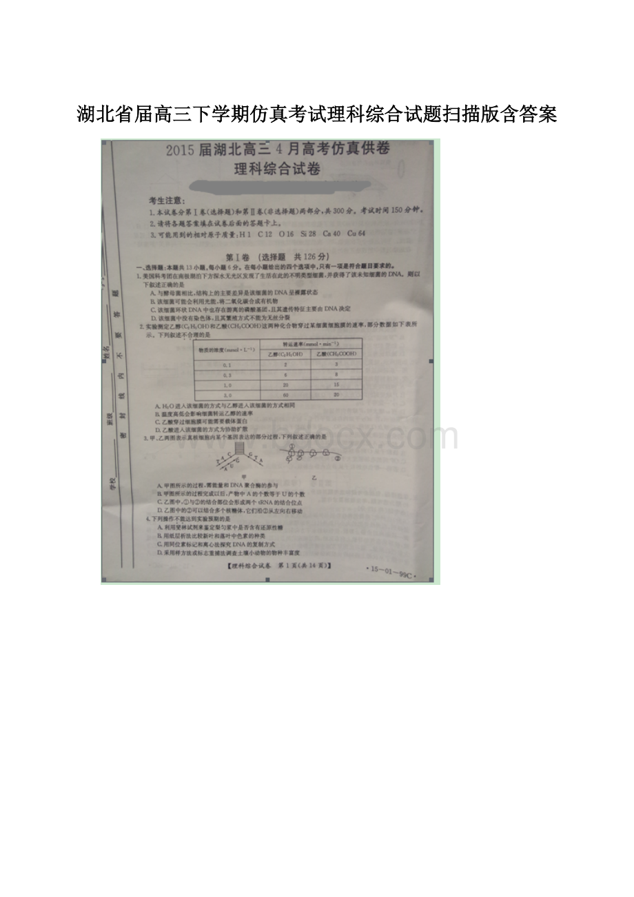 湖北省届高三下学期仿真考试理科综合试题扫描版含答案Word文档下载推荐.docx