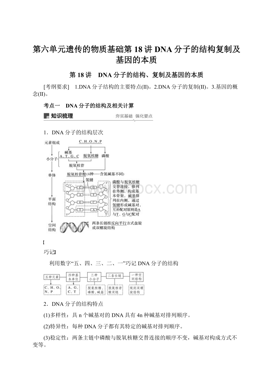 第六单元遗传的物质基础第18讲DNA分子的结构复制及基因的本质.docx_第1页