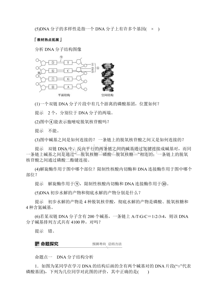 第六单元遗传的物质基础第18讲DNA分子的结构复制及基因的本质.docx_第3页