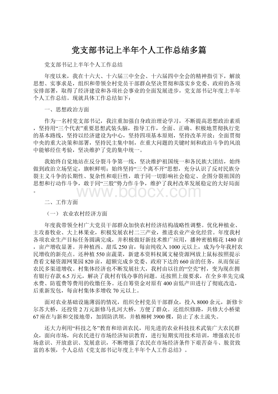 党支部书记上半年个人工作总结多篇.docx