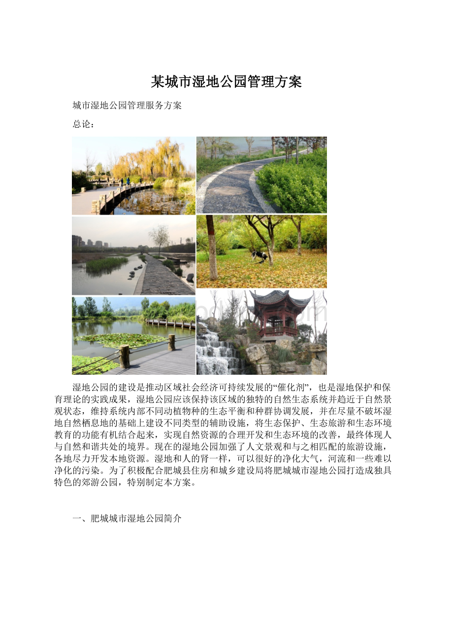 某城市湿地公园管理方案Word文档格式.docx_第1页