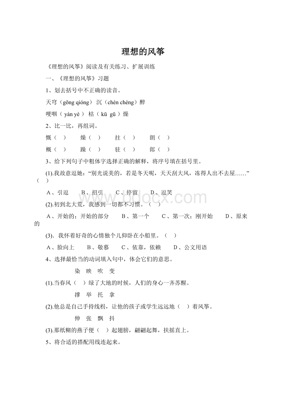 理想的风筝文档格式.docx