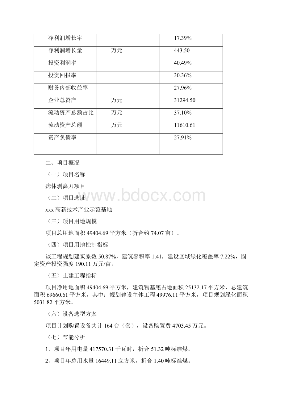 疣体剥离刀项目可行性研究报告Word文档格式.docx_第3页