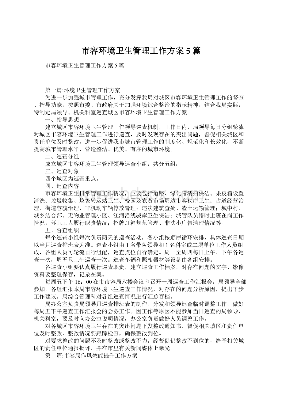 市容环境卫生管理工作方案5篇文档格式.docx