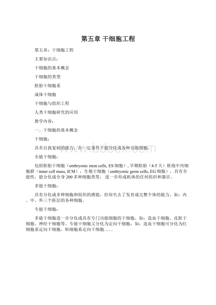 第五章 干细胞工程Word文档格式.docx_第1页