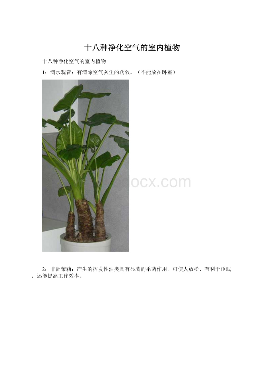 十八种净化空气的室内植物.docx