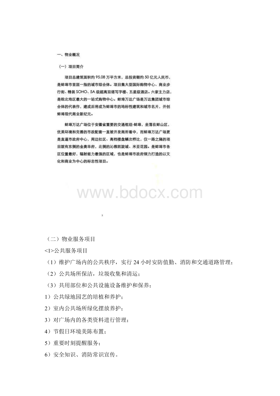 万达广场大商业物业管理方案Word文档格式.docx_第2页