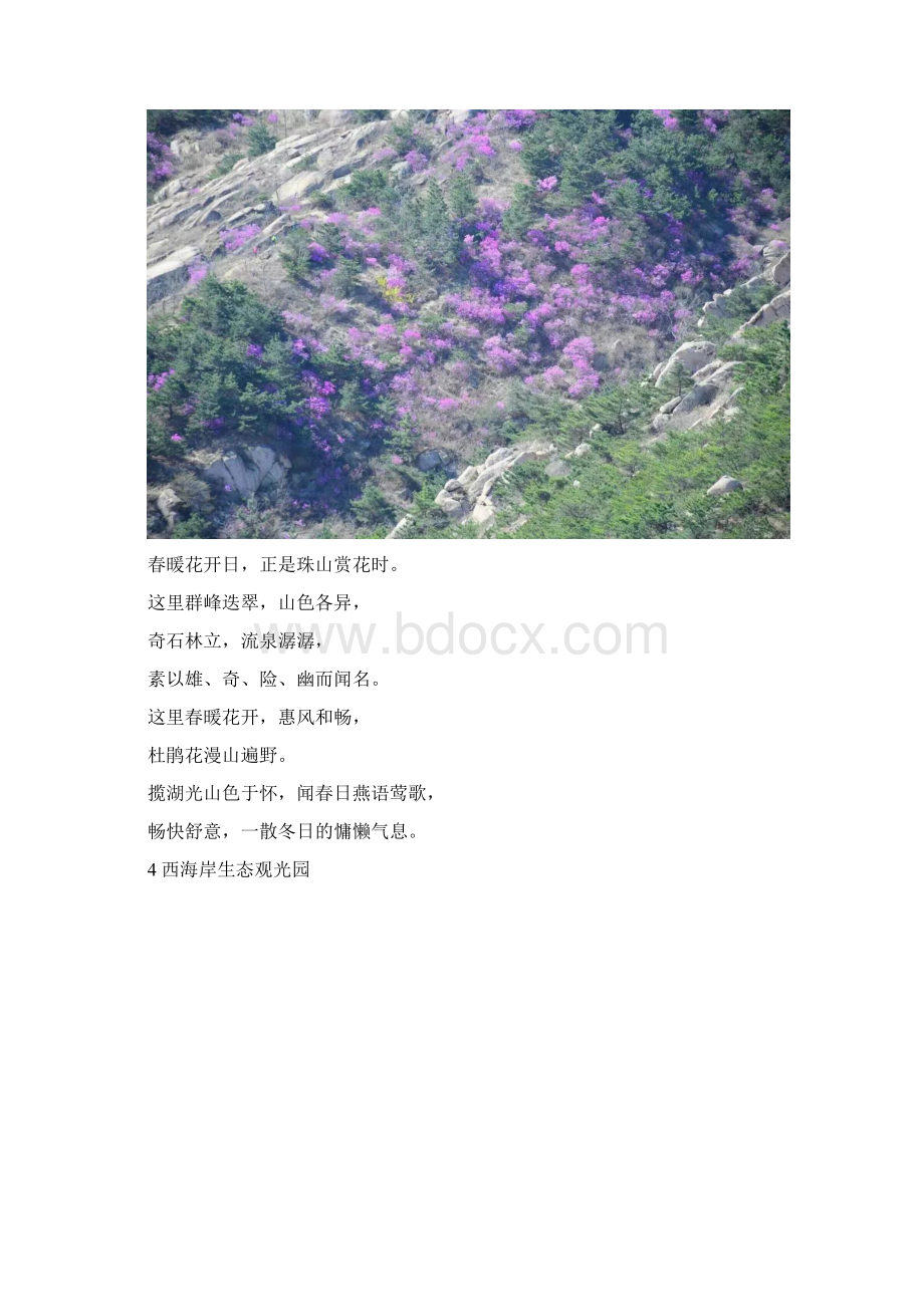 春天去哪里看花好 西海岸十大赏花地推荐给你Word文档格式.docx_第3页