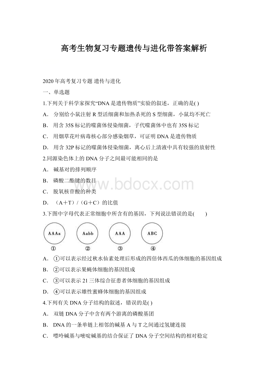 高考生物复习专题遗传与进化带答案解析Word文档下载推荐.docx