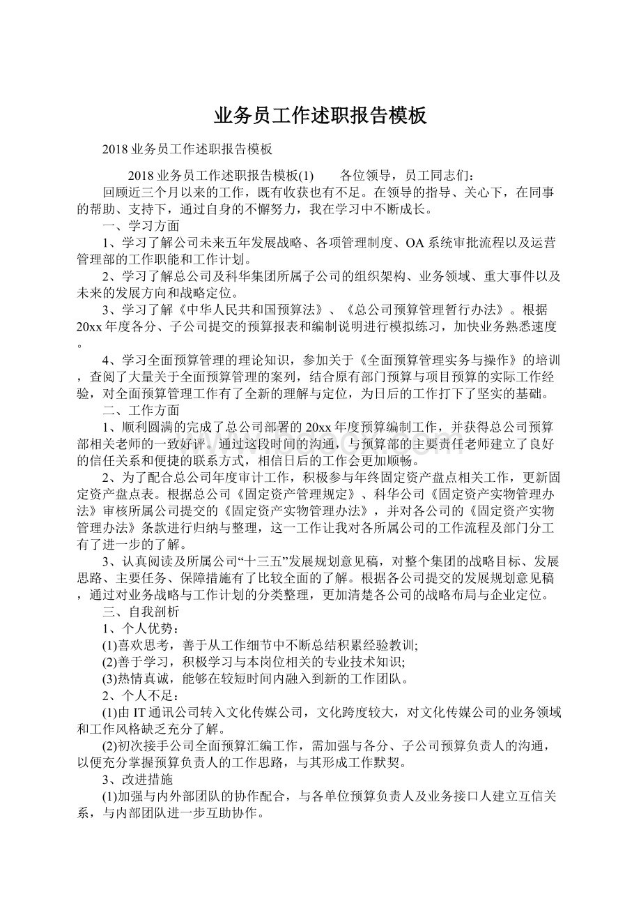 业务员工作述职报告模板文档格式.docx_第1页