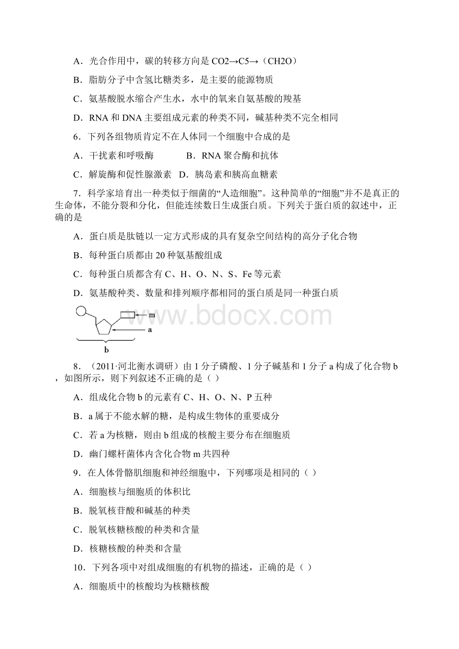 高三生物一轮复习细胞的分子组成和结构Word文件下载.docx_第2页