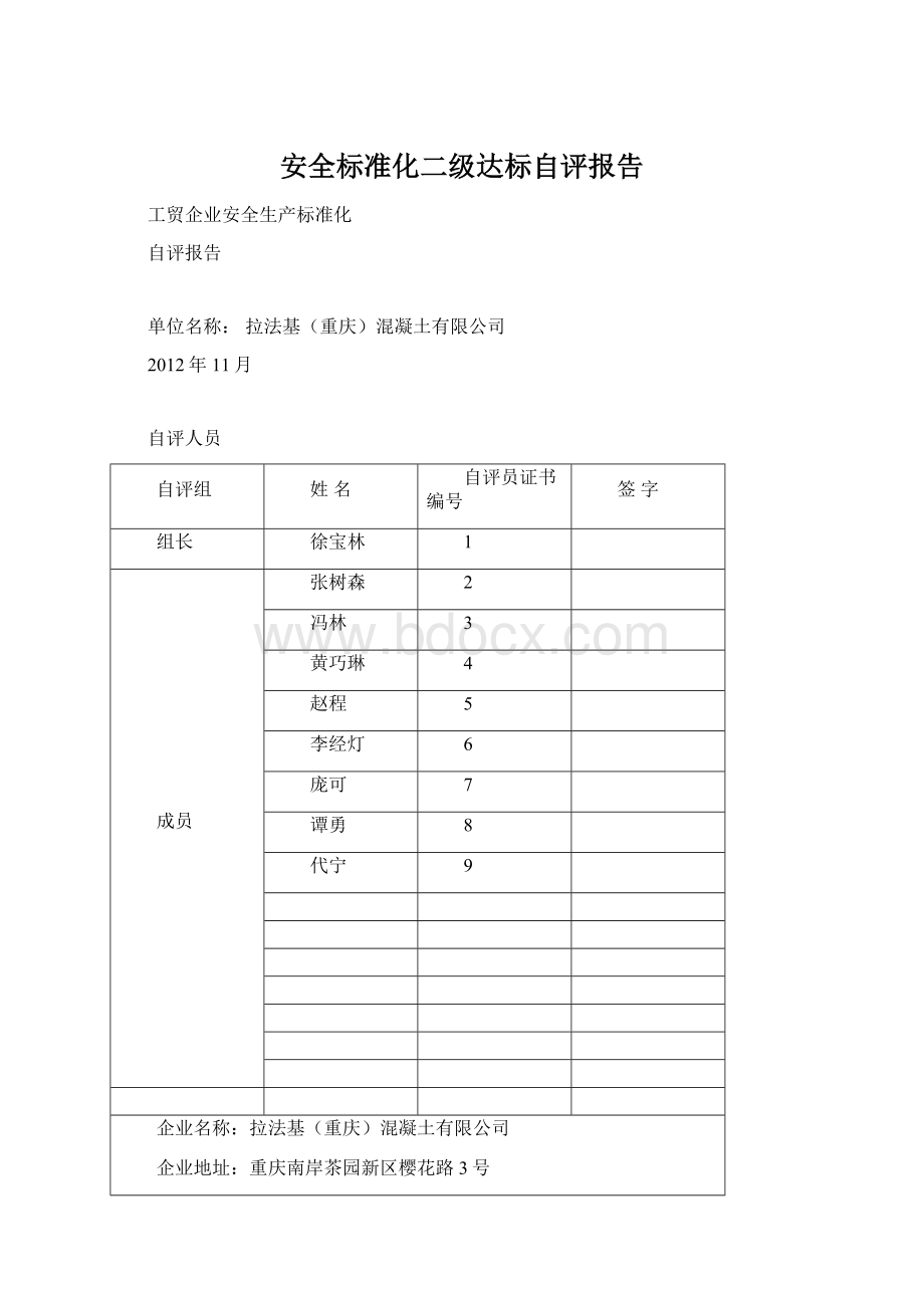 安全标准化二级达标自评报告.docx_第1页