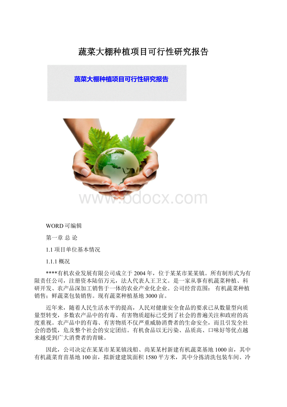 蔬菜大棚种植项目可行性研究报告Word文件下载.docx