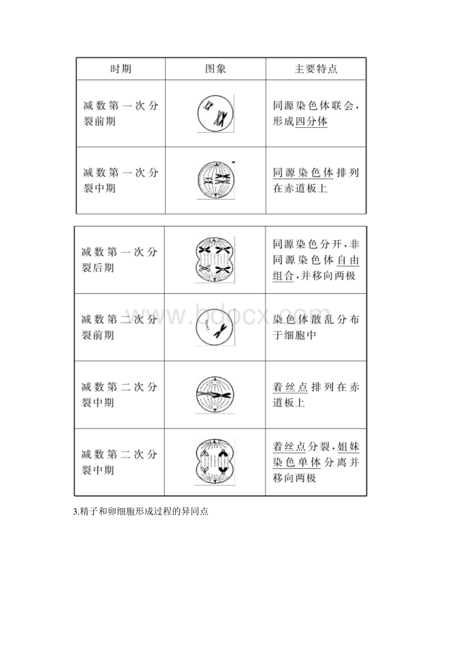 完整版生物高考总复习 第4单元第12讲 减数分裂和受精作用.docx_第2页