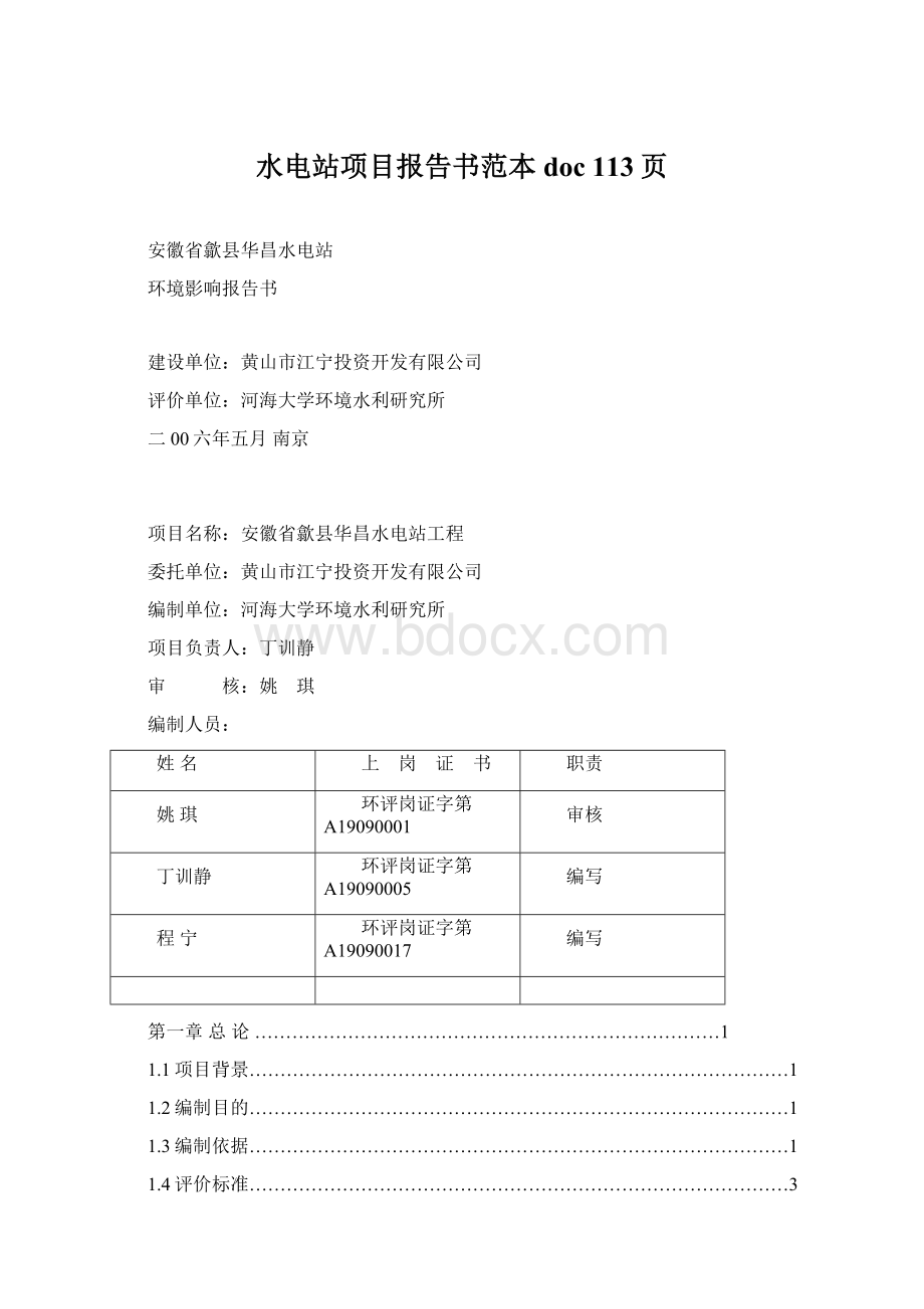 水电站项目报告书范本doc 113页.docx