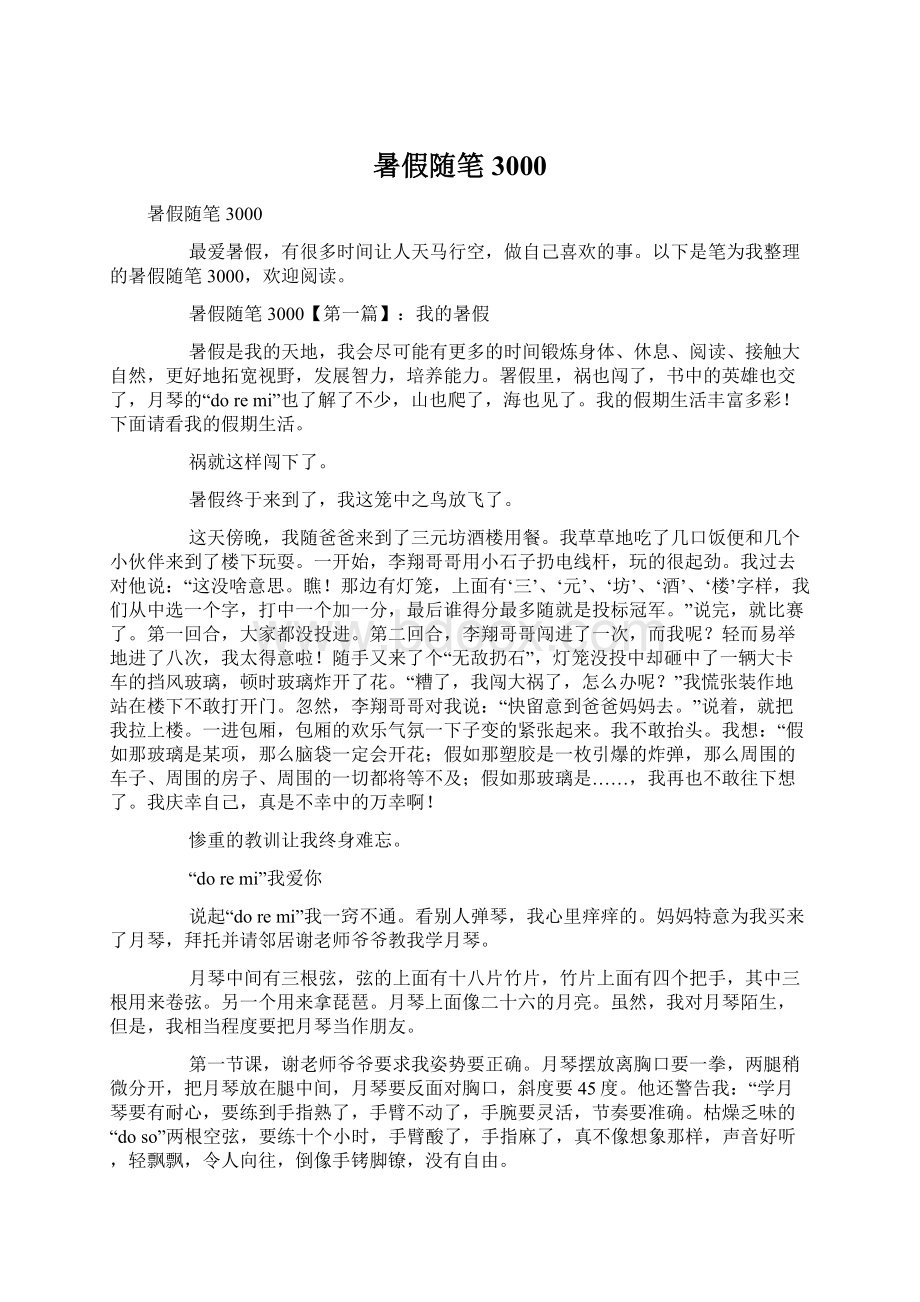 暑假随笔3000Word文档下载推荐.docx_第1页