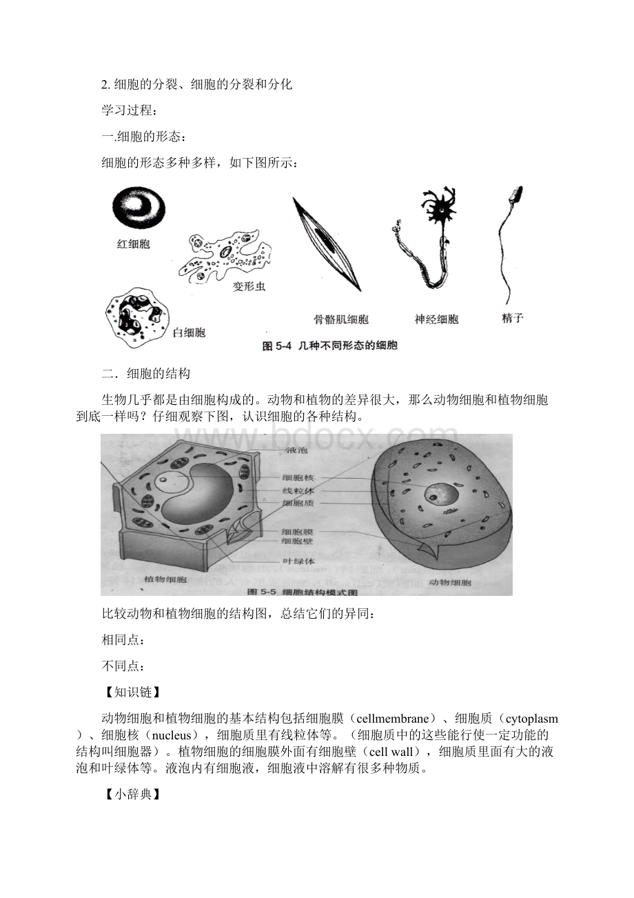 初高中生物衔接教材Word下载.docx_第2页