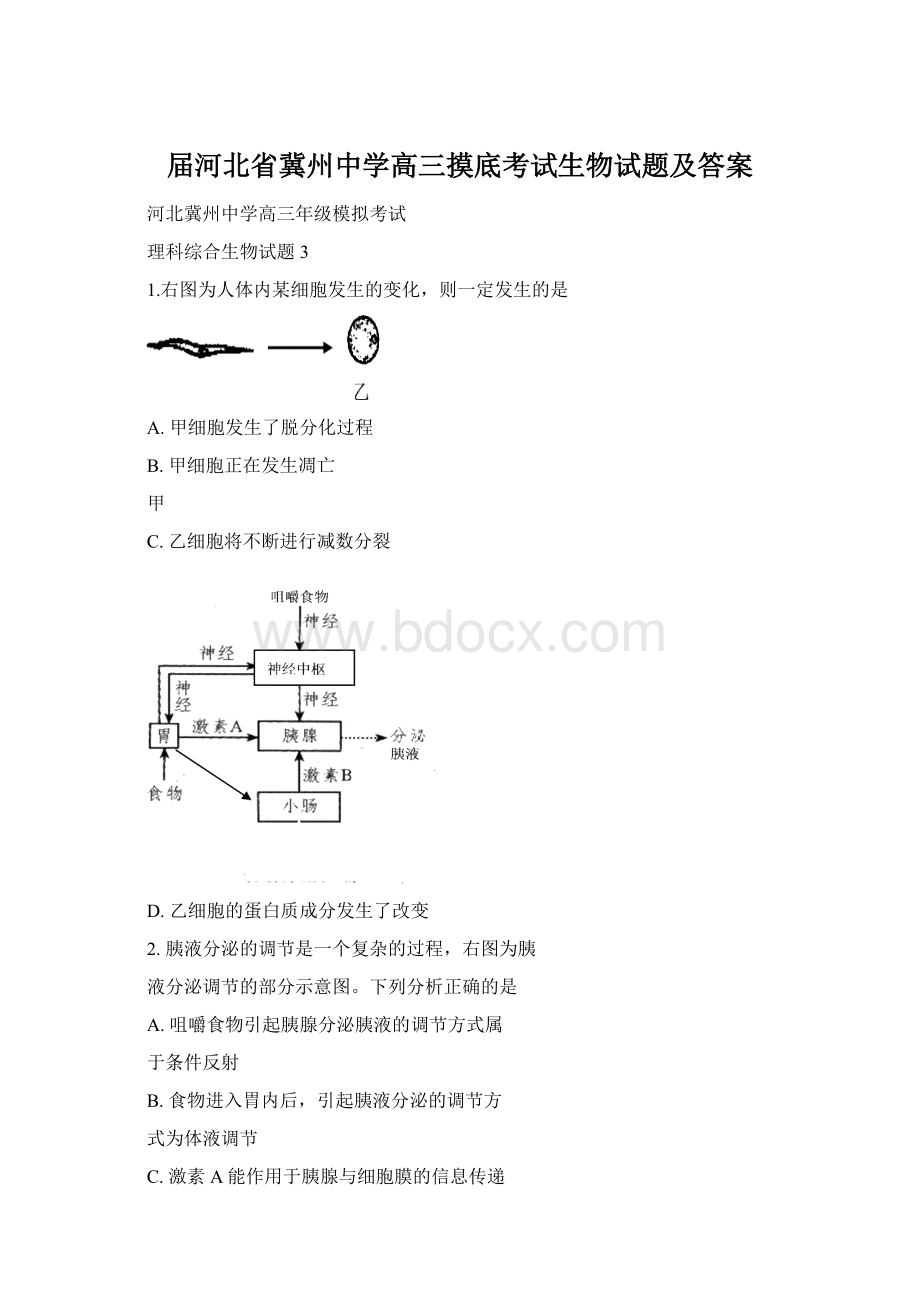 届河北省冀州中学高三摸底考试生物试题及答案.docx