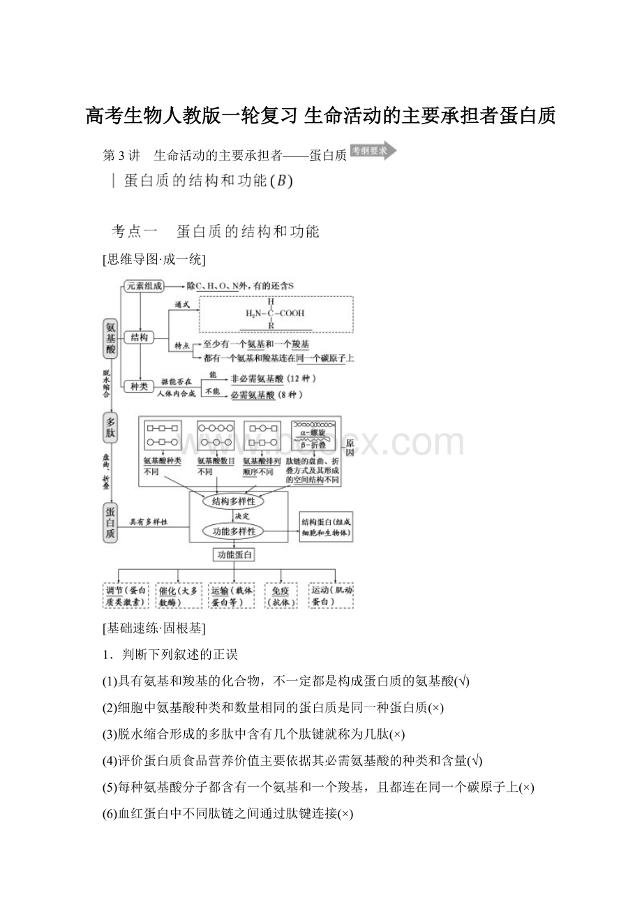 高考生物人教版一轮复习 生命活动的主要承担者蛋白质Word下载.docx_第1页