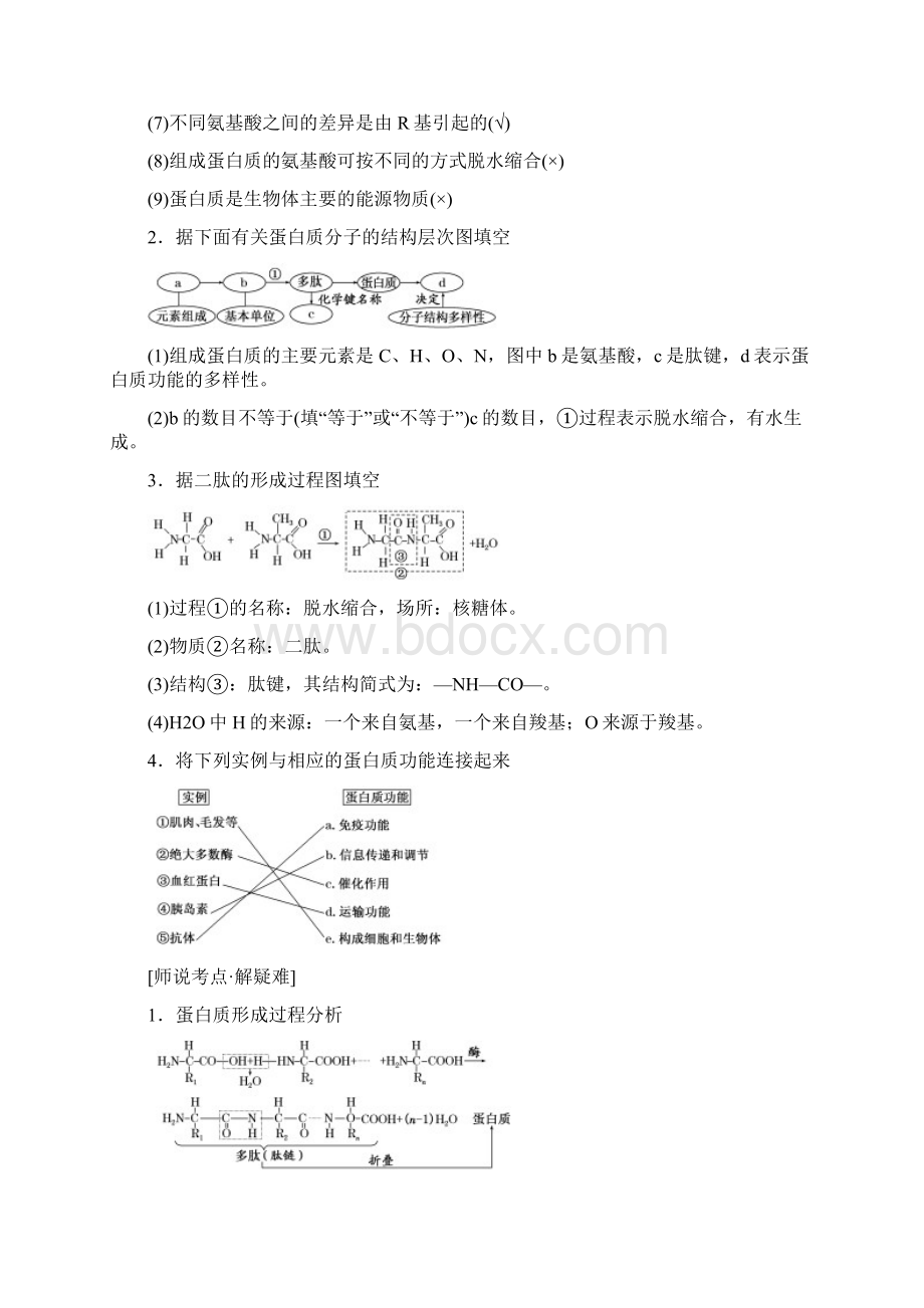 高考生物人教版一轮复习 生命活动的主要承担者蛋白质Word下载.docx_第2页