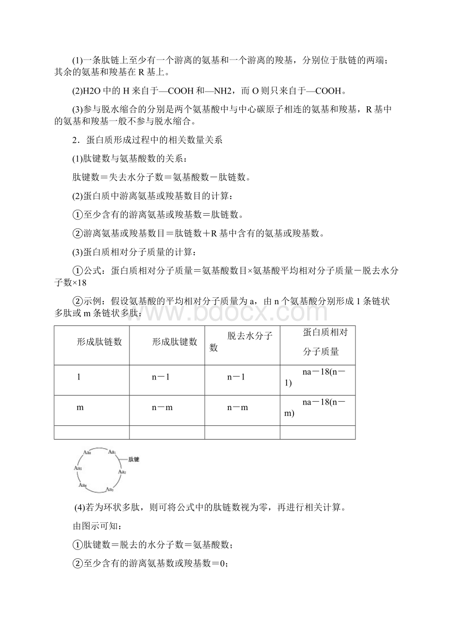 高考生物人教版一轮复习 生命活动的主要承担者蛋白质Word下载.docx_第3页