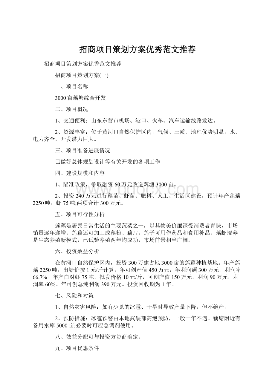 招商项目策划方案优秀范文推荐Word格式文档下载.docx