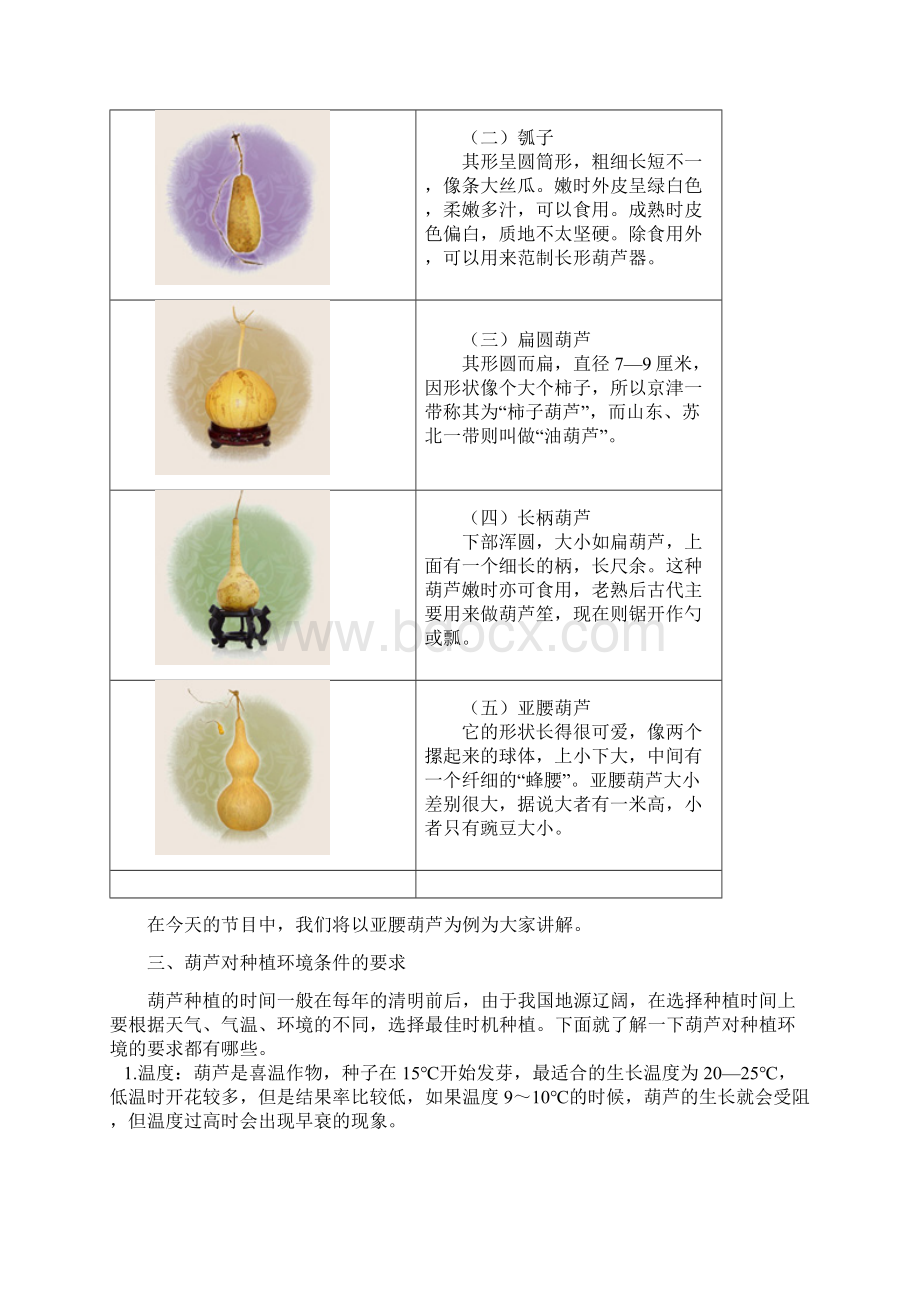 葫芦的种植技术2.docx_第2页