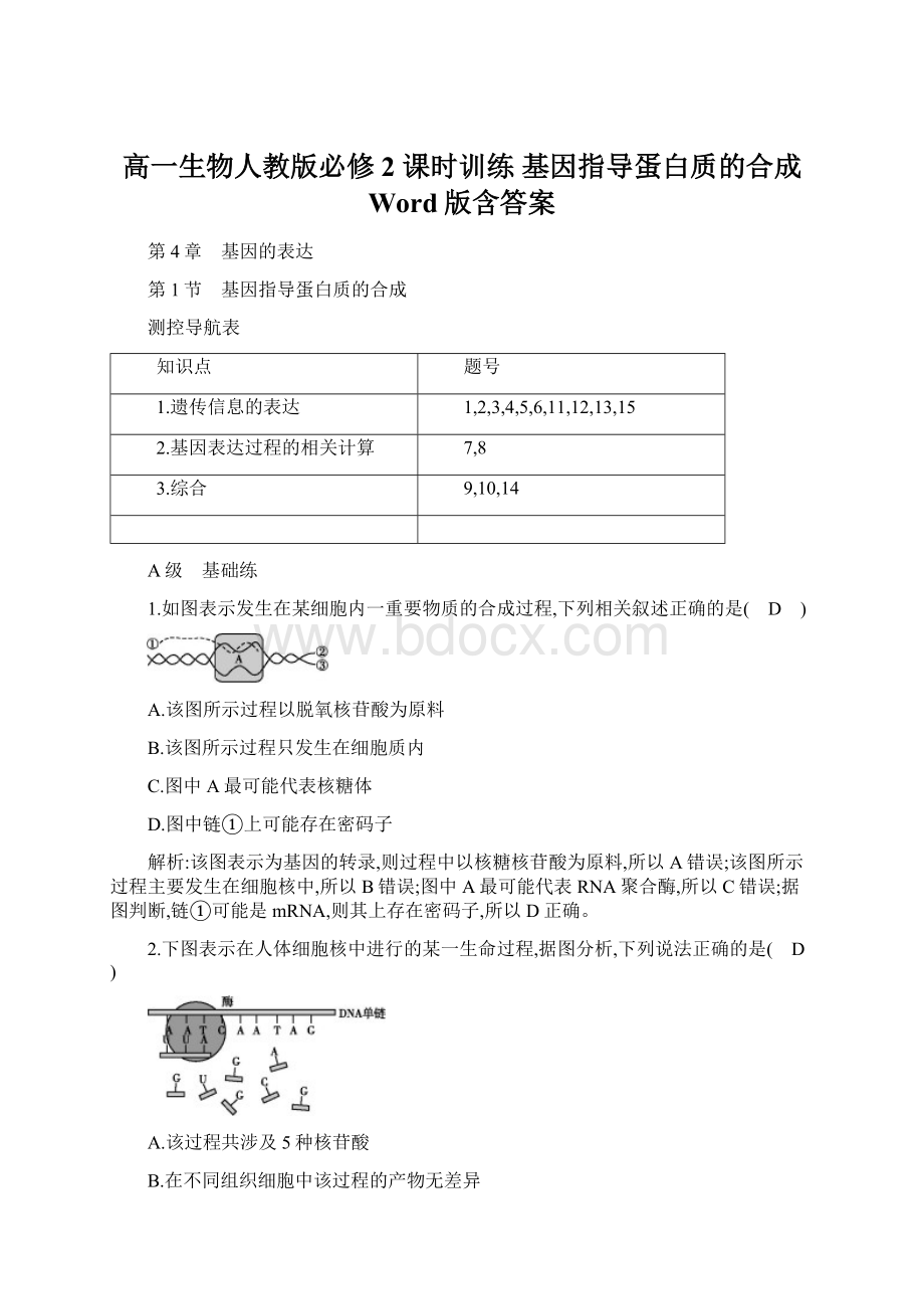 高一生物人教版必修2 课时训练 基因指导蛋白质的合成 Word版含答案Word文档下载推荐.docx