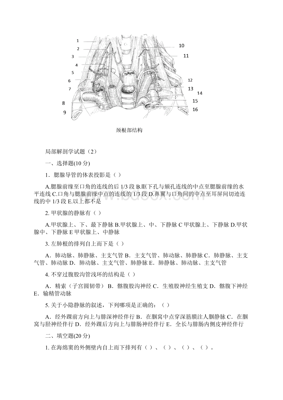 局部解剖.docx_第3页