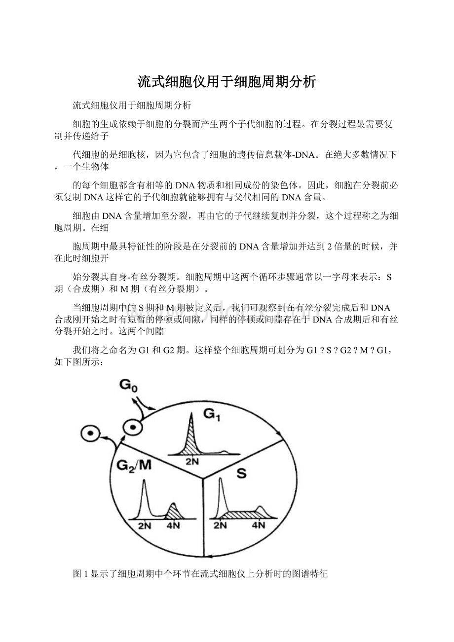 流式细胞仪用于细胞周期分析.docx