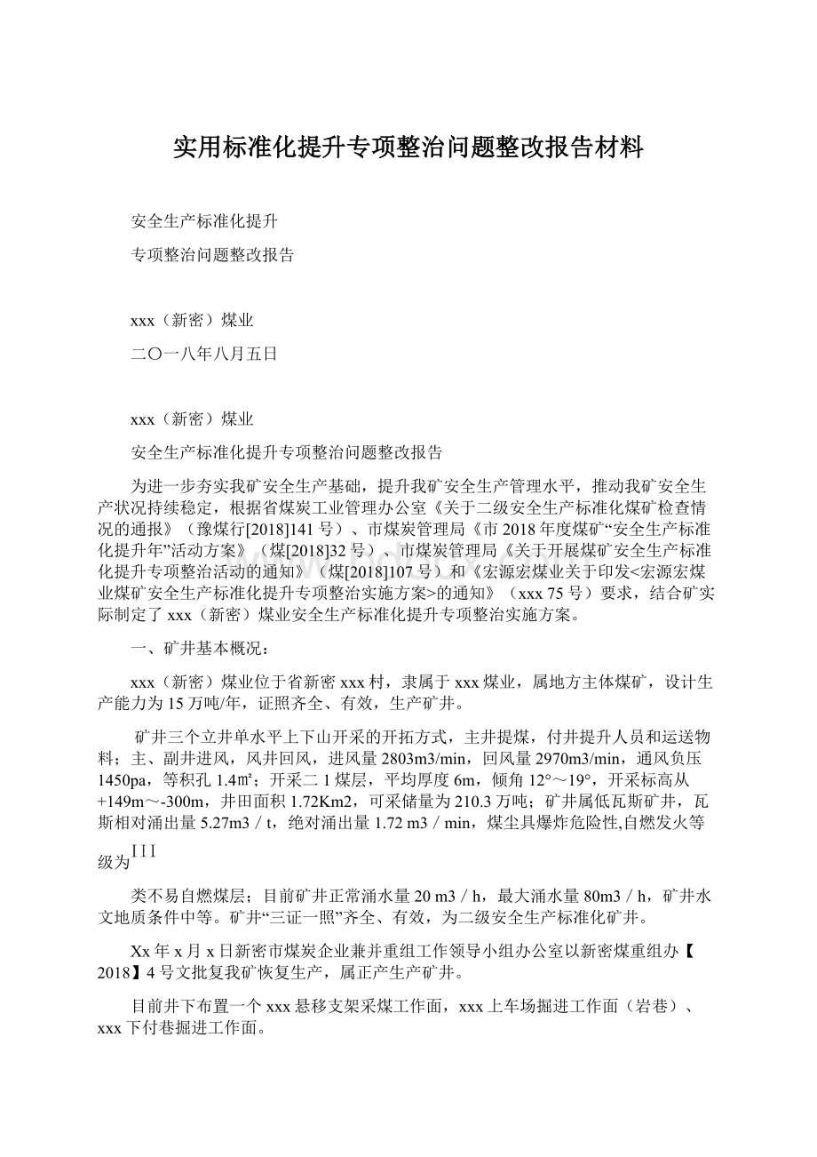 实用标准化提升专项整治问题整改报告材料文档格式.docx