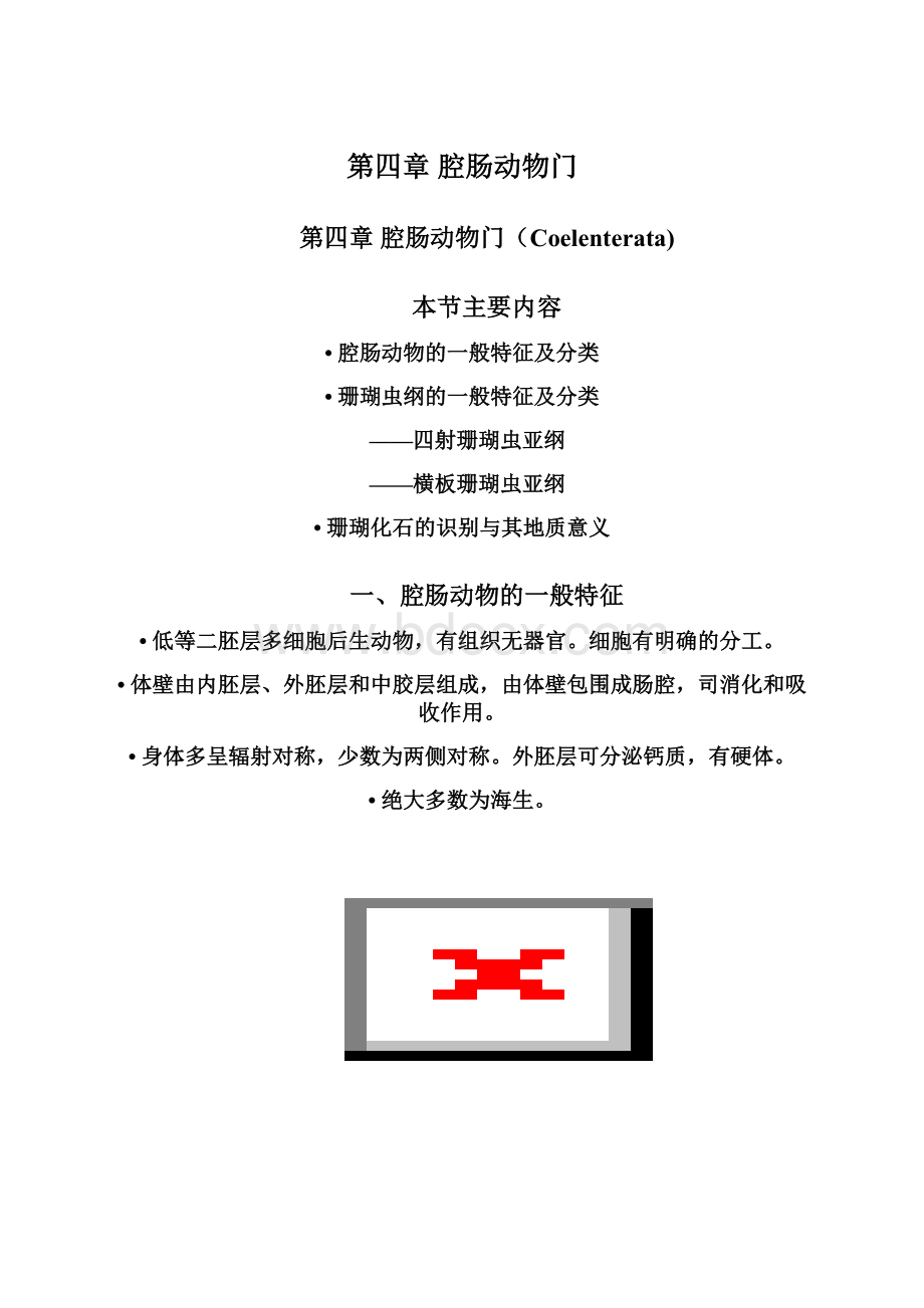 第四章 腔肠动物门.docx