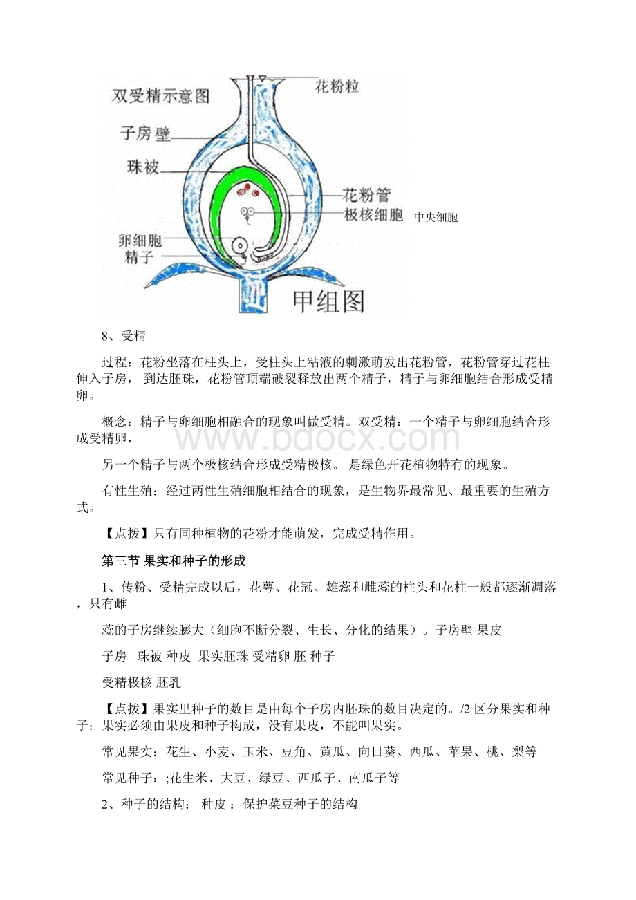 完整济南版初二生物上册知识点汇总推荐文档.docx_第3页