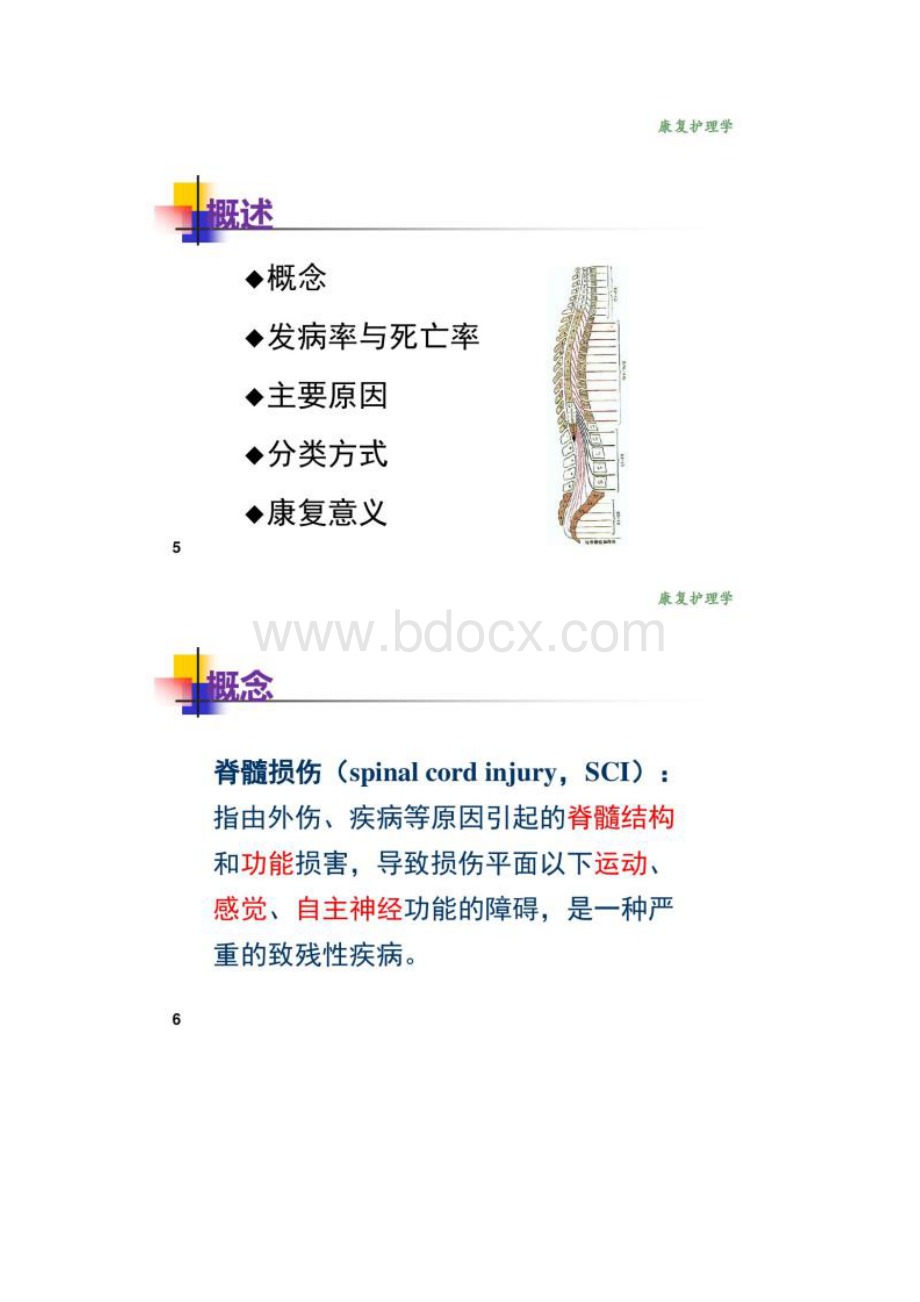 《康复护理学》6章 常见神经疾病患者康复护理第四节 脊髓损伤Word文档下载推荐.docx_第3页