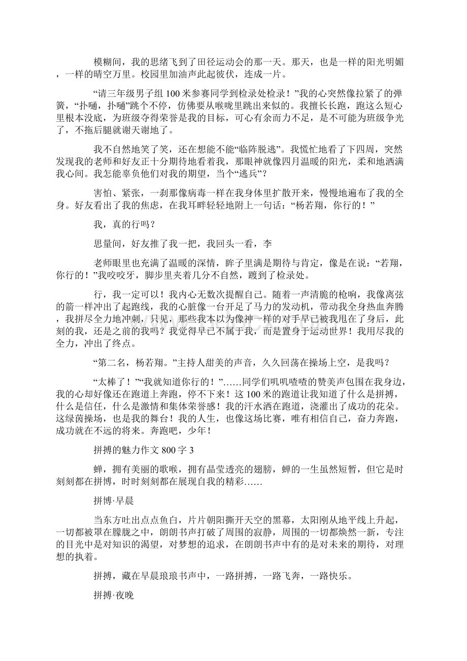 拼搏的魅力作文800字.docx_第2页