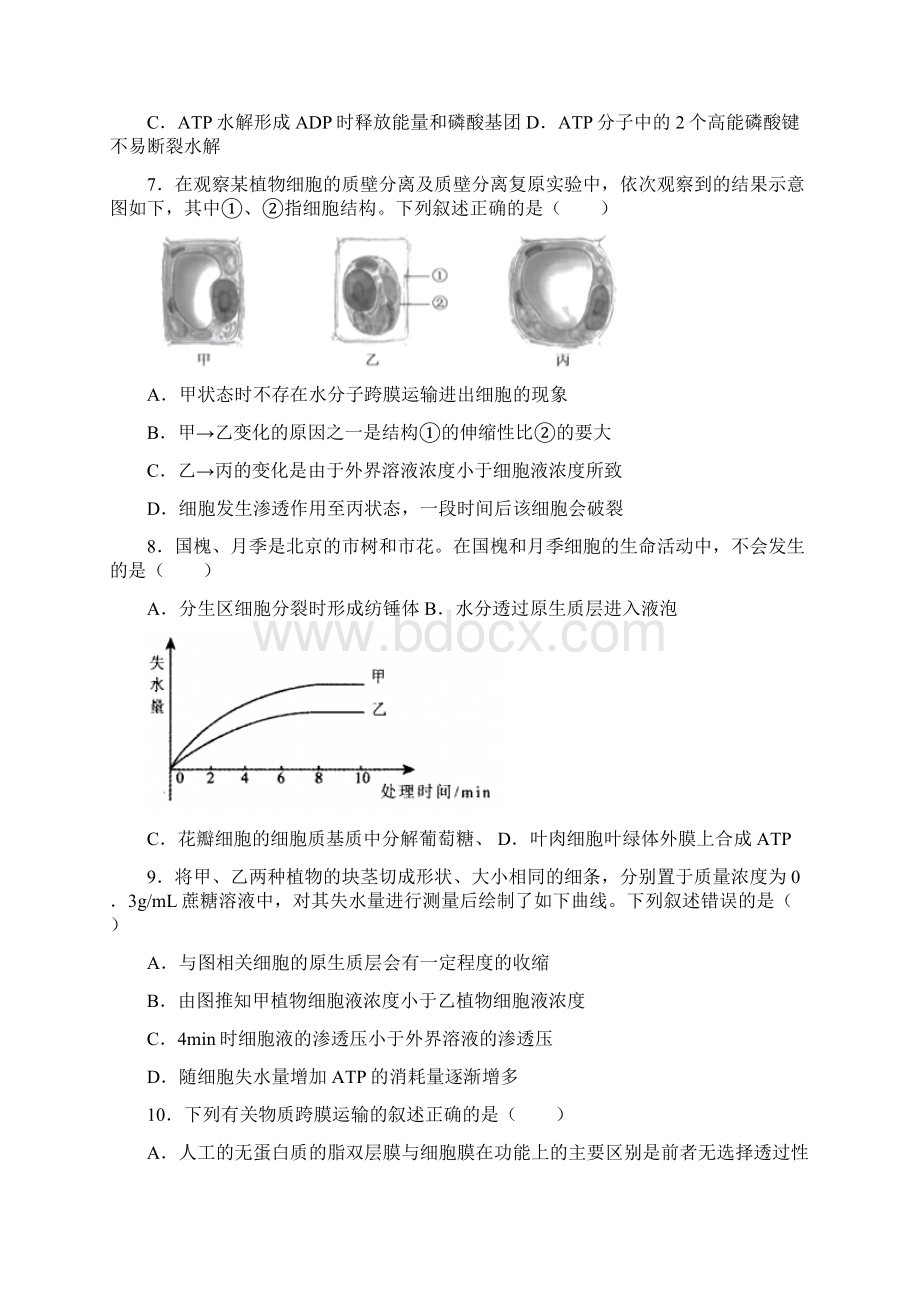 考点2 细胞的物质运输与代谢 生物高考真题和模拟试题分类和解析Word格式.docx_第2页