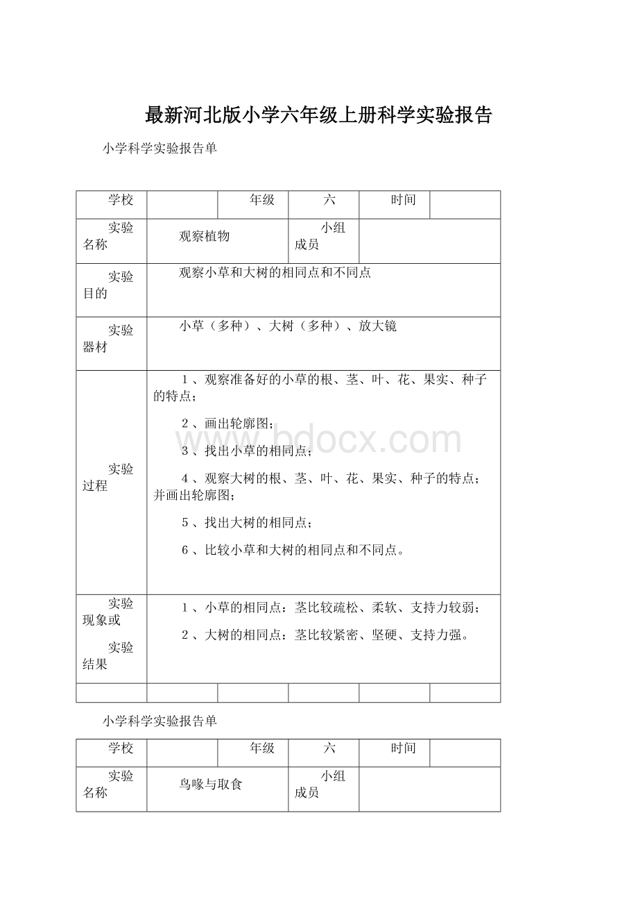 最新河北版小学六年级上册科学实验报告文档格式.docx