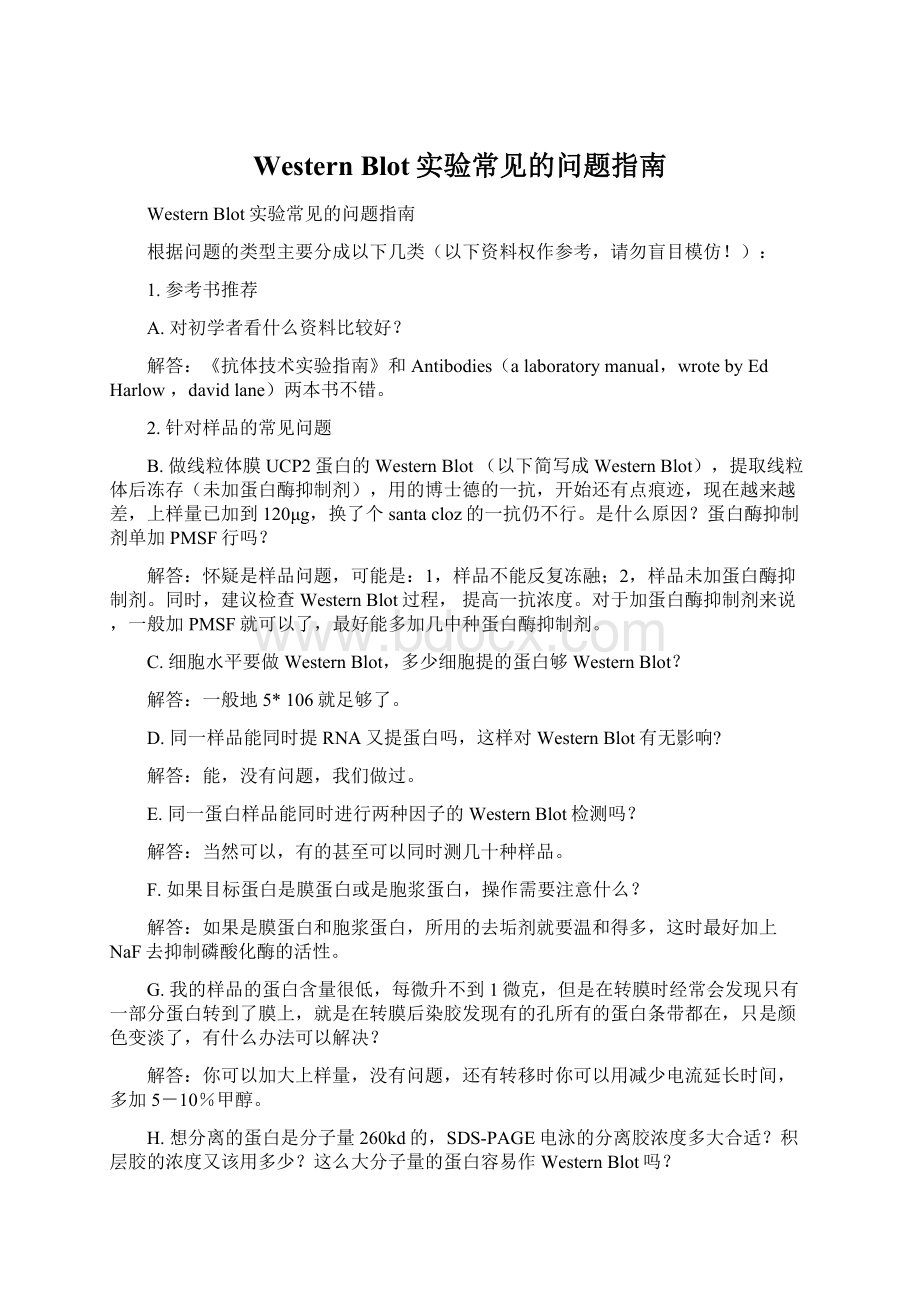 Western Blot实验常见的问题指南Word格式.docx_第1页