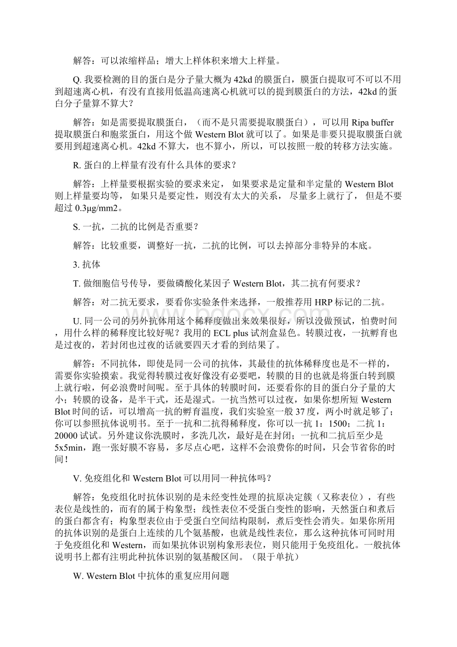 Western Blot实验常见的问题指南Word格式.docx_第3页