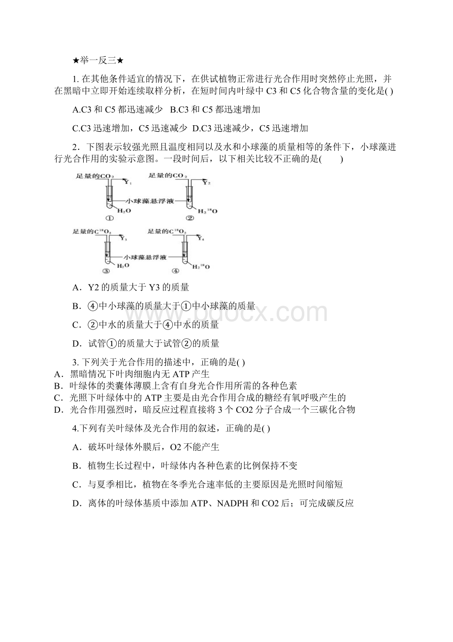 光合呼吸.docx_第3页